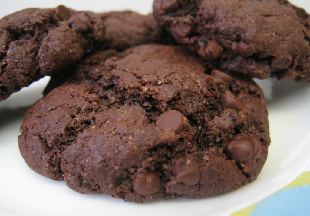 Chocolate Chocolate Chip Cake Cookies